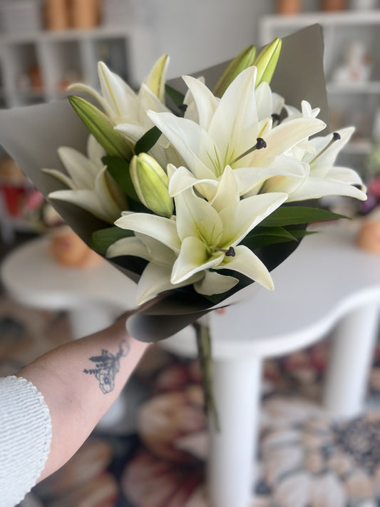 Lily Love